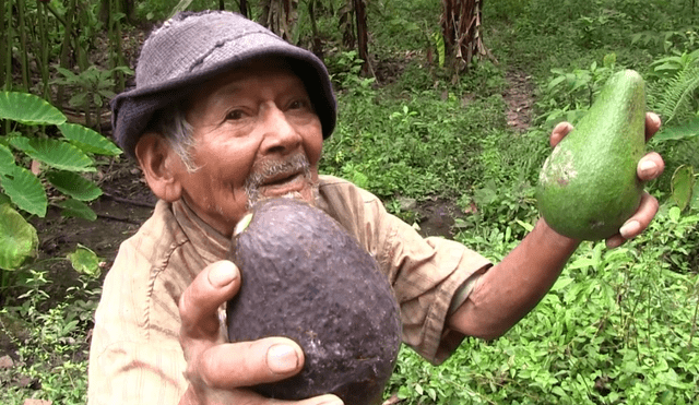 Don Mashico es uno de los pobladores más queridos de la provincia de Pachitea, Huánuco. Conoce cuántos años tiene y más. Foto: captura Midis,