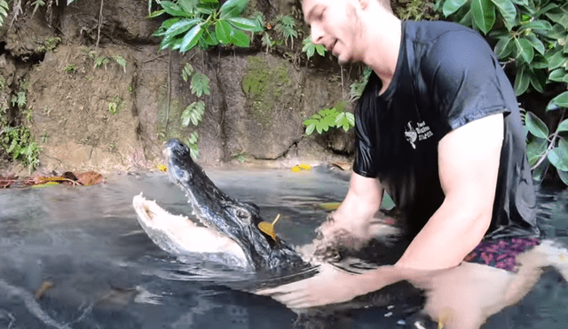 Un video viral de YouTube registró el momento en que un hombre ingresó a la piscina de un cocodrilo.