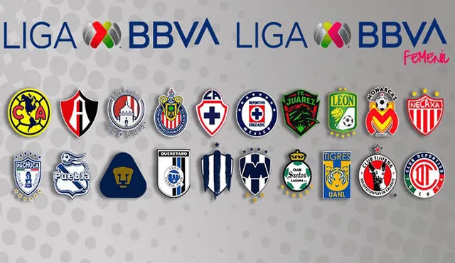 Liga MX es cancelada y por coronavirus. | Foto: Liga MX