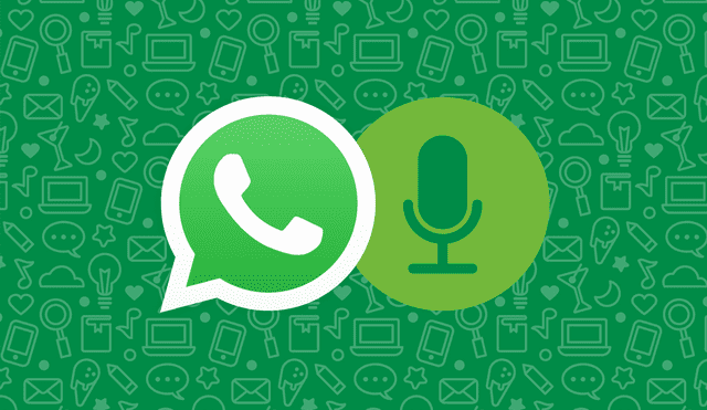 Podrás convertir cuaquier audio que recibas por WhatsApp. | Foto: Línea Directa