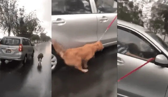 Perro amarrado a un auto y jalado bajo la lluvia genera indignación [VIDEO]
