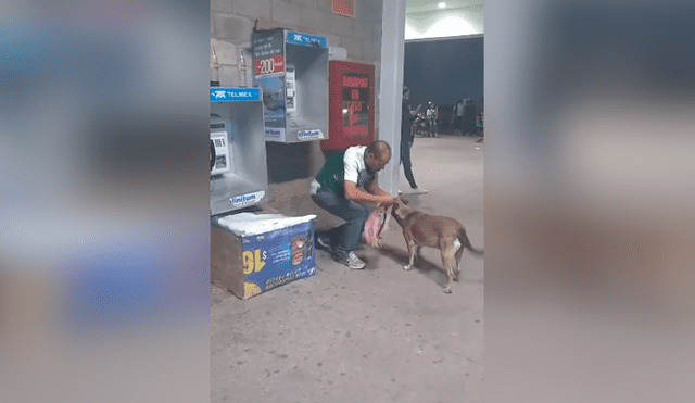 Desliza las imágenes para conocer la tierna acción de un hombre al brindarle abrigo y ropa a un perro callejero. Foto: Juan Echeverria.