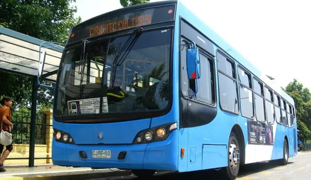 Chile: pasajeros matan a golpes a delincuente que robó celular en el bus