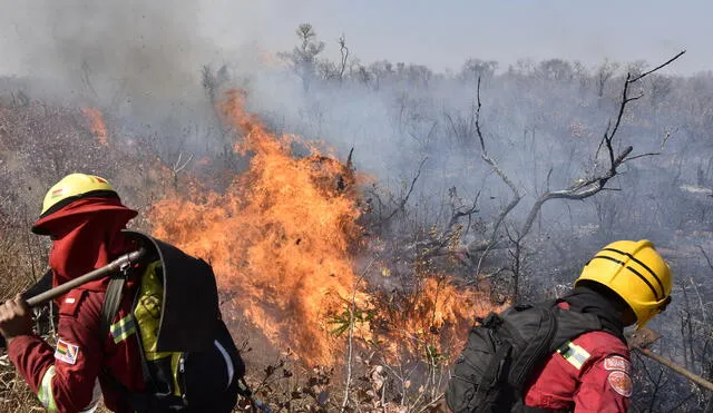Firefighters try to control a fire near Charagua, Bolivia, in the border with Paraguay, south of the Amazon basin, on August 29, 2019. - Fires have destroyed 1.2 million hectares of forest and grasslands in Bolivia this year, the government said on Wednesday, although environmentalists claim the true figure is much greater. The news comes after leftist President Evo Morales suspended his re-election campaign on Monday to direct the government's response to a growing environmental disaster in the Bolivian portion of the Amazon rainforest, where wildfires have been raging since May. (Photo by AIZAR RALDES / AFP)