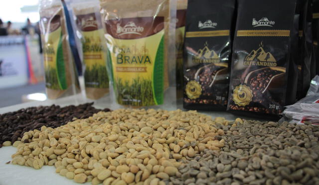 La producción de café crecería 11% este año
