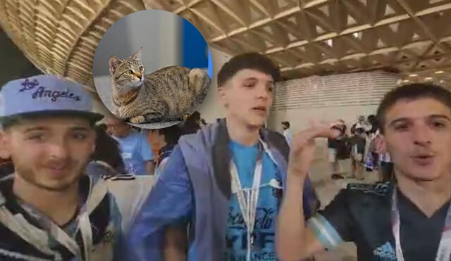 Hinchada argentina le recuerda a Brasil la 'maldición del gato'. Foto: composición LR