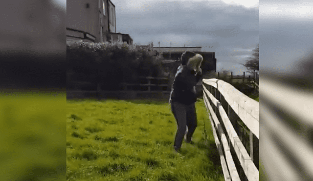 Facebook viral: chica reta a alpaca en duelo de baile y termina humillada por esto [VIDEO] 