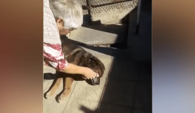 Desliza hacia la izquierda para ver cómo luce el perro que se ha vuelto viral en YouTube.