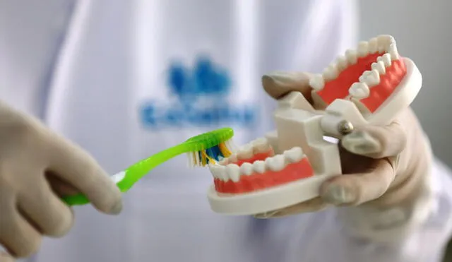 El cepillado dental es la mejor herramienta para combatir las enfermedades bucales. Foto: Andina