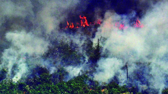 El fuego consume hace más de veinte días el Amazonas. Foto: AFP