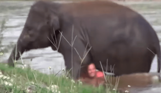 YouTube viral: Elefante se convierte en héroe al socorrer a joven que se ahogaba en profundo río [VIDEO]