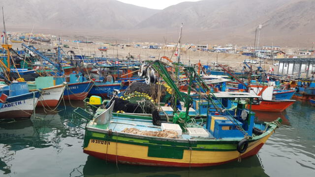 Pescadores de Tacna deberán pedir bolsas para desechar su basura.