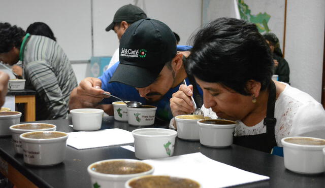 Empieza la búsqueda del mejor café peruano 2017 con selección de jurados