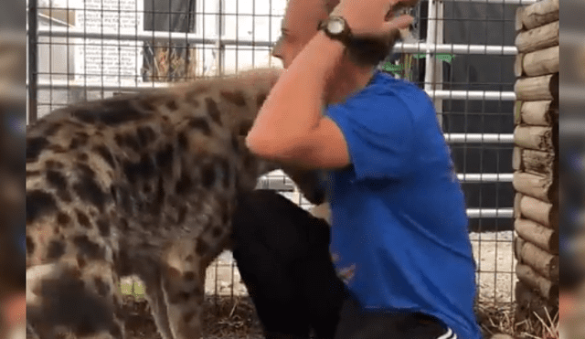 Facebook viral: joven tiene conmovedor reencuentro con feroz hiena que cuidó cuando era un bebé [VIDEO]