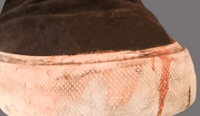 Las marcas de la zapatilla fueron encontradas en una base de más de 10 mil modelos de calzados. (Captura: Infobae)