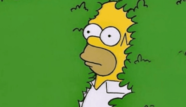 Facebook viral: fan de 'Los Simpson' hace cantar a Homero Simpson una popular cumbia [VIDEO]