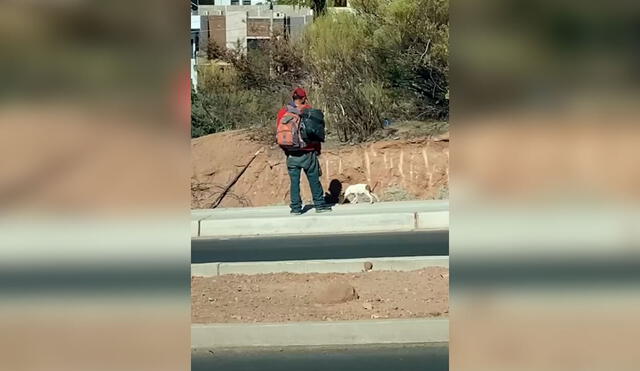 Desliza las imágenes para ver la curiosa acción de un pequeño perro para que su dueño lo cargue en vez de caminar. Foto: captura de YouTube