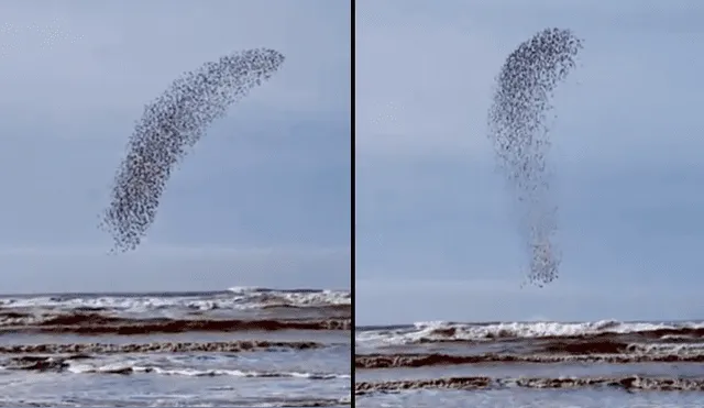 YouTube viral: capta extraña ‘mancha’ que se mueve en el cielo, hace zoom y descubre algo maravilloso [VIDEO]