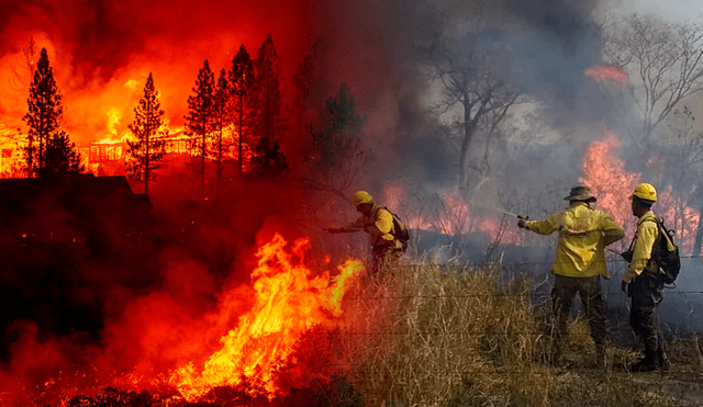 En Bolivia también se registraron otros incendios en Santa Cruz, el motor económico de Bolivia, la sureña Tarija y Chuquisaca. Foto: composición LR/AFP
