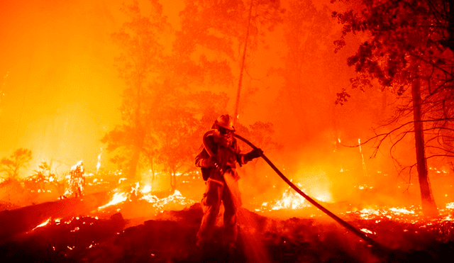 En total se han quemado ya en California más de 4 millones de acres, que son 1.618.742 hectáreas. Foto: Josh Edelson / AFP