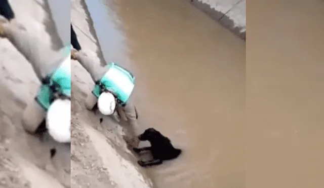 Video es viral en YouTube. Usuario compartió la conmovedora escena que protagonizó un policía de tránsito tras ingresar al canal para rescatar al can.