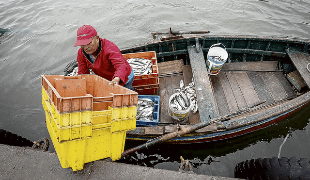 Deuda social. Pesca artesanal continuará desprotegida en tanto no se corrijan las distorsiones del sector pesquero.