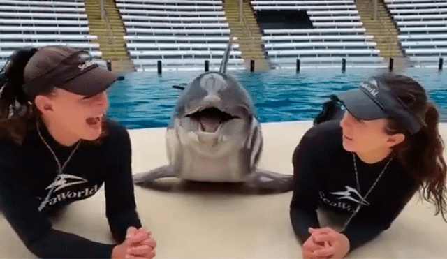 Facebook viral: delfín besa a dos chicas de forma efusiva y enternece las redes sociales [VIDEO]