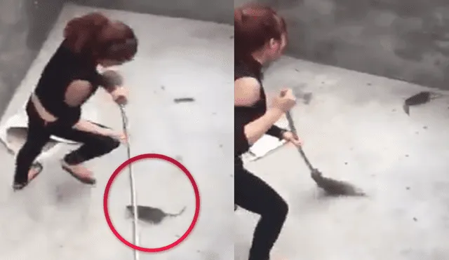 Facebook: una joven fue perseguida por un enorme roedor y así acabó la escena [VIDEO]