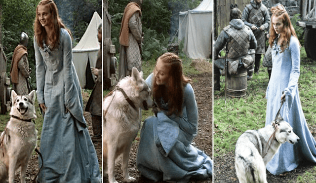 Game of Thrones: “Sansa Stark” revela que pasó con “Dama” en la vida real [FOTOS]