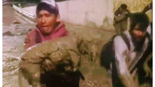 Tacna: Bomberos rescatan a un perro en medio de los escombros del huaico