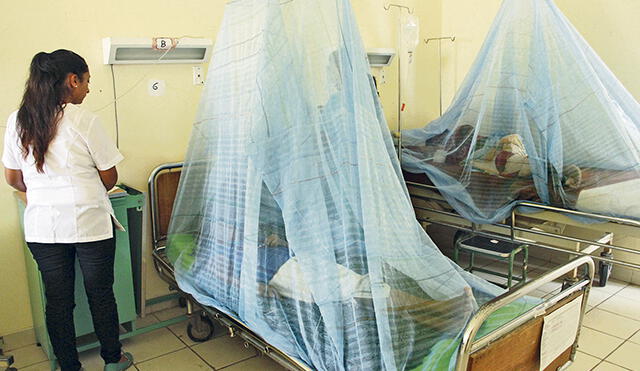 Piura: sector Salud confirma tres muertes más por dengue, entre ellas una gestante 
