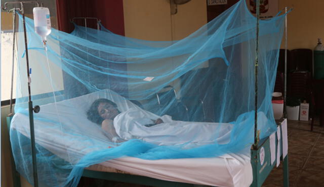 Áncash: Confirman 316 casos de dengue en Santa
