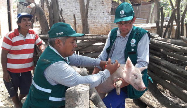 Trujillo: Senasa descarta presencia de enfermedades en ganado intervenido