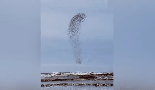 YouTube viral: capta extraña ‘mancha’ que se mueve en el cielo, hace zoom y descubre algo maravilloso [VIDEO]