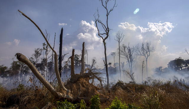 Incendio en Amazonas. Foto: AFP.