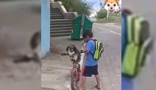 Las imágenes del niño poniéndose mascarilla y a su perro han dado la vuelta al mundo. Foto: Captura/Facebook/San Bartolomé Pinillo