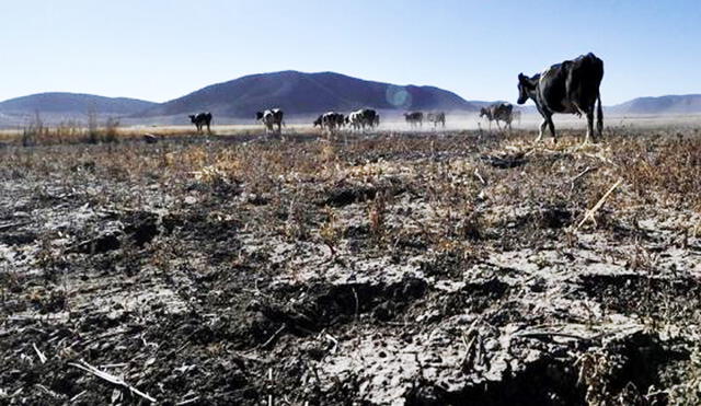 Sequía en Galeana en el estado mexicano de Nuevo León | Foto referencial: EFE/ Miguel Sierra