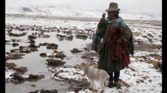 Indeci verificará entrega de ayuda humanitaria a afectados por heladas en Tacna 