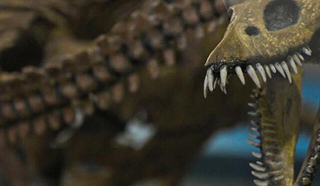 Francia: subasta de esqueleto de dinosaurio sería ilegal