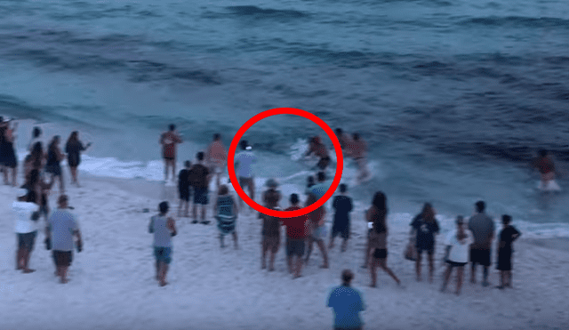 YouTube viral: tiburón martillo fue ayudado por bañistas que lo regresaron al mar [VIDEO]