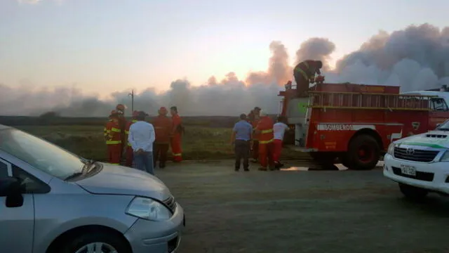 Chimbote: Incendio provocado arrasó con 60 hectáreas de totora
