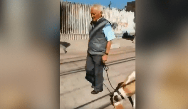 Hombre permite que su perro mate a un gato y lleve el cadáver en el hocico [VIDEO]
