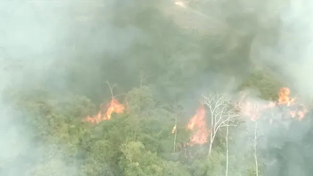 Iberia registró en las últimas horas tres incendios forestales de mediana magnitud y dos de pequeña. (Foto: Captura de video / COER Madre de Dios)