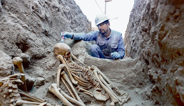 Hallazgo. El arqueólogo Jesús Bahamonde trabaja en una osamenta hallada en una recámara de adobe durante la excavación de una zanja para el gas. (Foto: Michael Ramón)