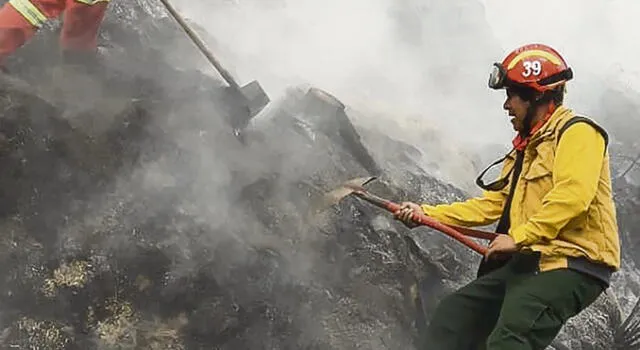 Incendio forestal arrasó con 5 hectáreas de flora silvestre en Cusco