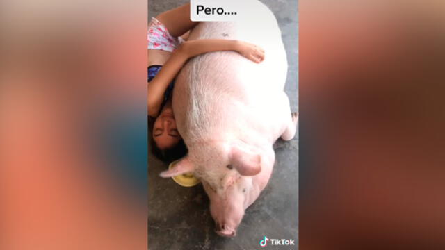 Desliza las imágenes para ver la increíble transformación que tuvo este presunto 'mini pig'. Foto: Alejandra Esperanza/TikTok