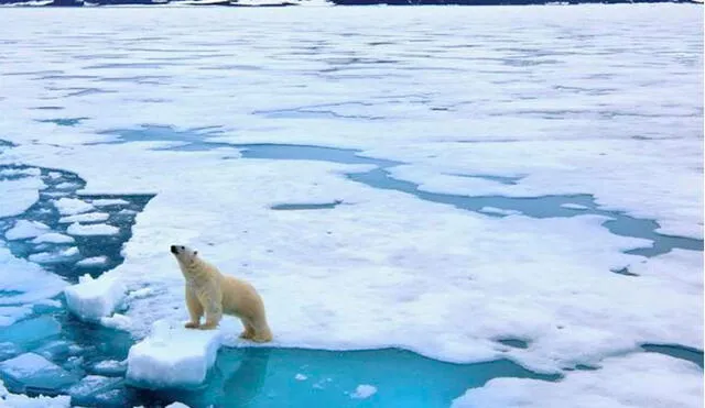 Los científicos descubrieron que la cobertura de hielo marino cambia en escalas temporales de décadas a siglos. Foto: Difusión.