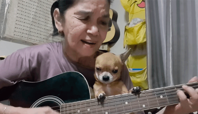 Tailandesa interpreta ‘Hey jude’ de The Beatles junto a su chihuahua y sorprende por su talento [VIDEO]