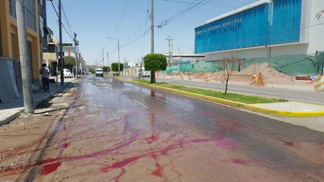 Moquegua: Sangre y aguas servidas discurren por avenida Simón Bolívar