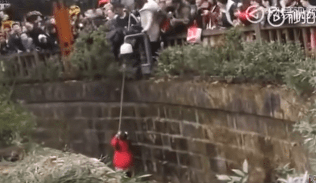 YouTube viral: niña cae a recinto de osos pandas y visitantes de zoológico quedan en shock [VIDEO]